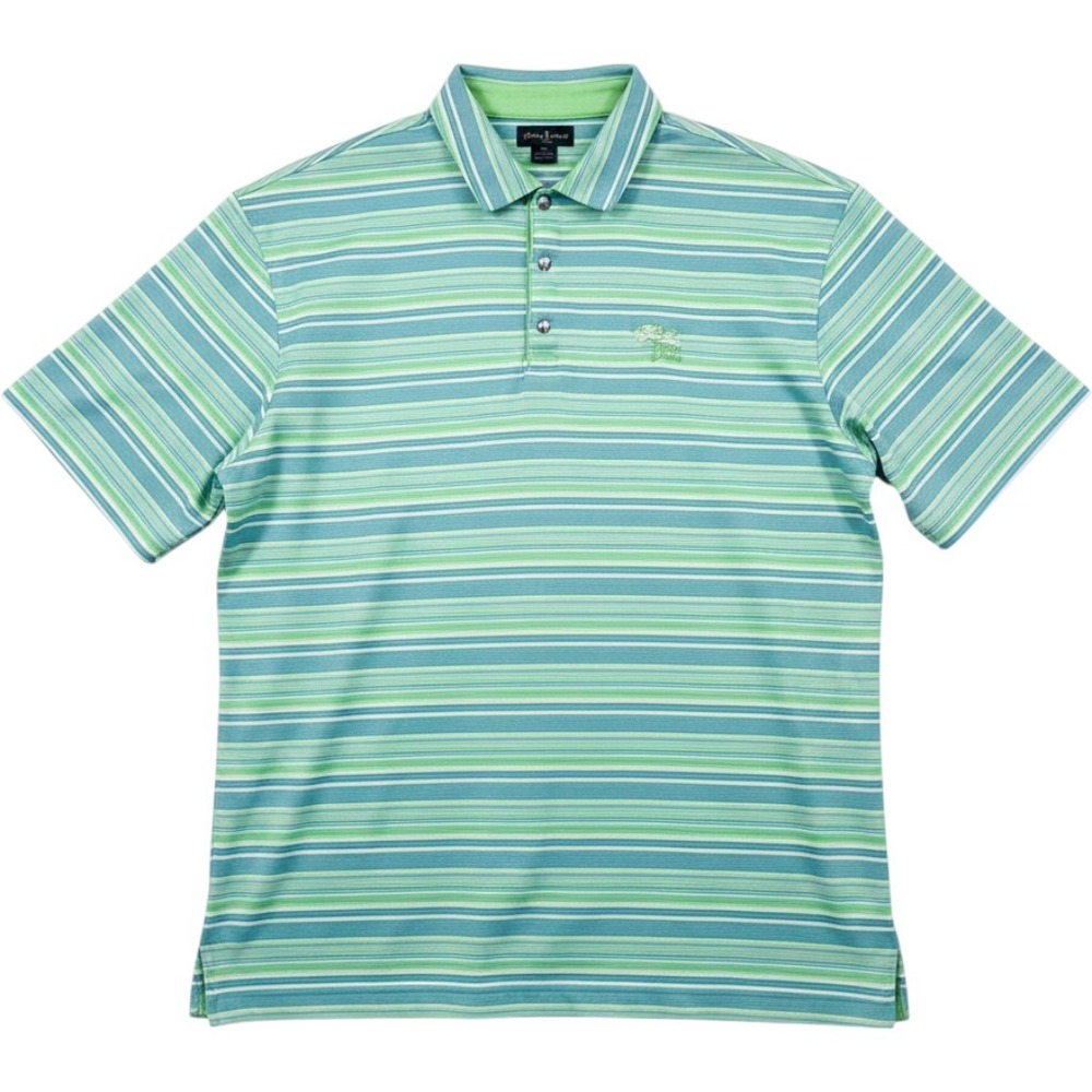 Nike Tiger Woods Men's Green & Teal Striped Polo Shirt Torrey Pines